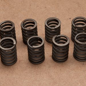 Valve Springs (set of 8)