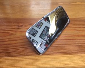 Interior Mirror Head (Bright Stainless Steel, Flat Backed)